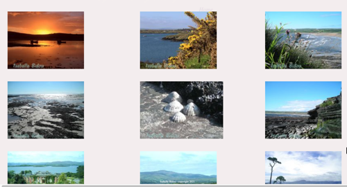 Isabelle Bidou Photo Gallery